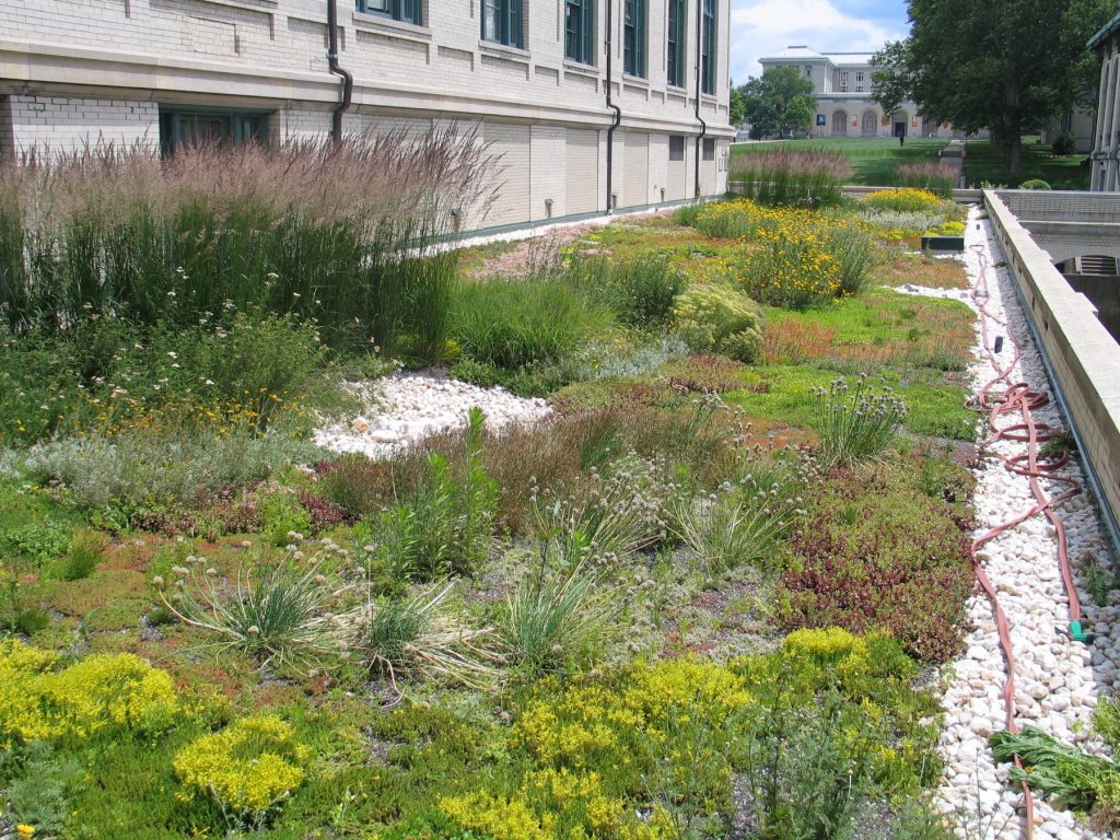 3RWW green roof